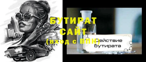 гидра Инта