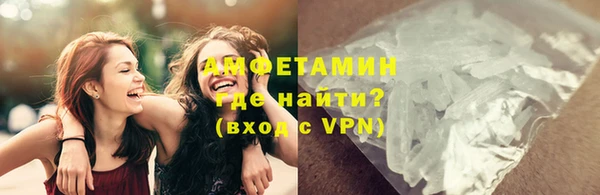 гидра Инта