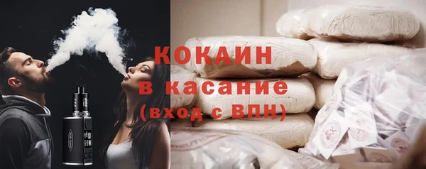 гидра Инта