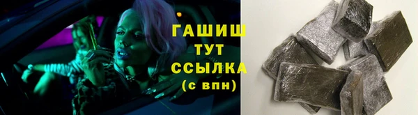 гидра Инта
