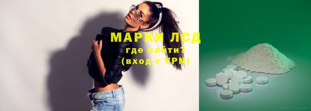 гидра Инта