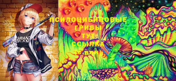 COCAINE Инсар