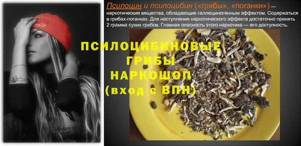 COCAINE Инсар