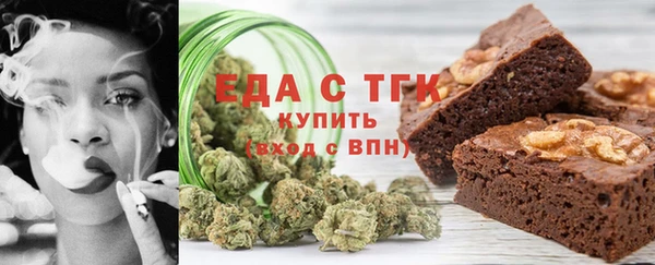 гидра Инта