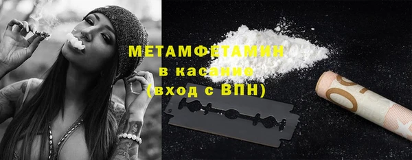 гидра Инта
