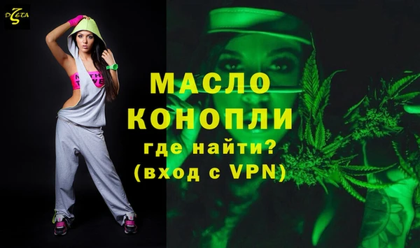 гидра Инта