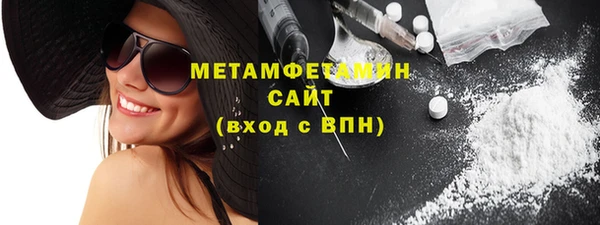 гидра Инта