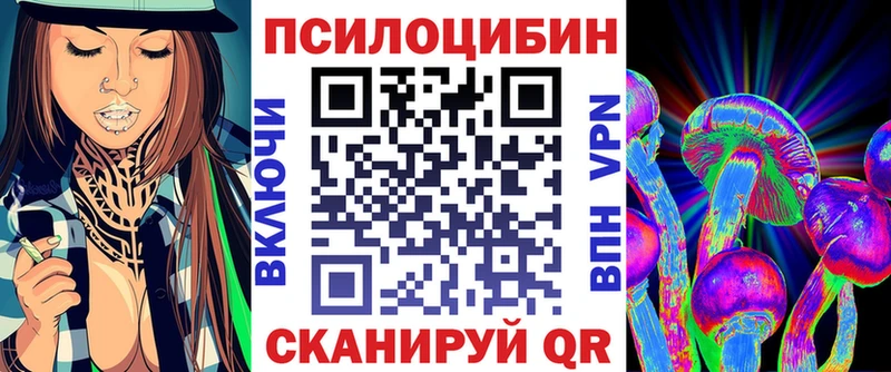 Купить Вихоревка Галлюциногенные грибы Psilocybine cubensis
